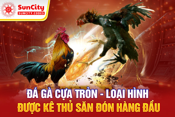 Đá Gà Cựa Tròn