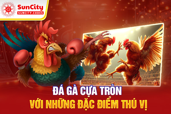 Đá gà cựa tròn có đặc điểm gì nổi bật