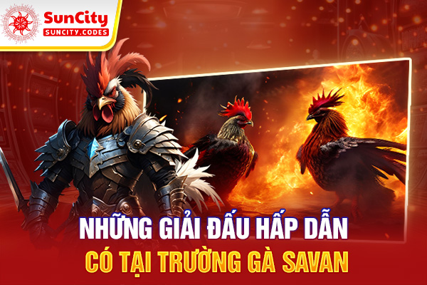 Những giải đấu hấp dẫn có tại trường gà Savan