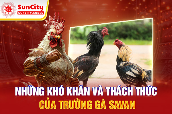Đâu là những khó khăn và thách thức của trường gà Savan