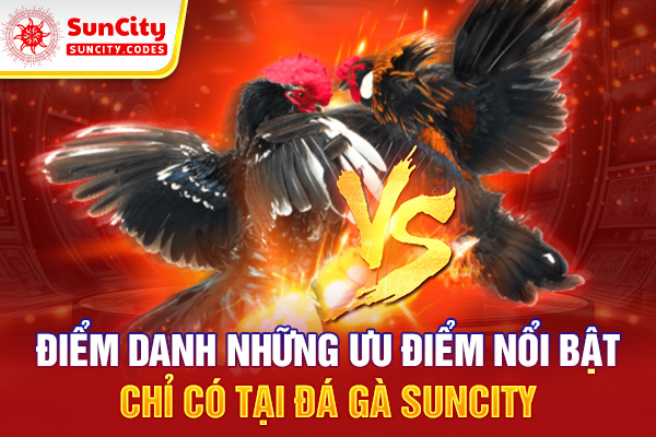 Điểm danh những ưu điểm nổi bật chỉ có tại đá gà SUNCITY