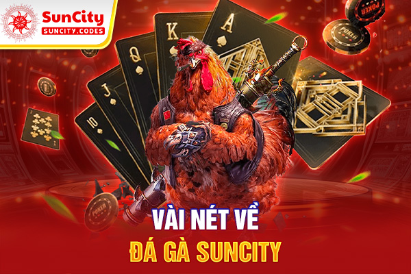 Vài nét về đá gà SUNCITY